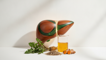 What Your Liver Actually Does for Your Metabolism