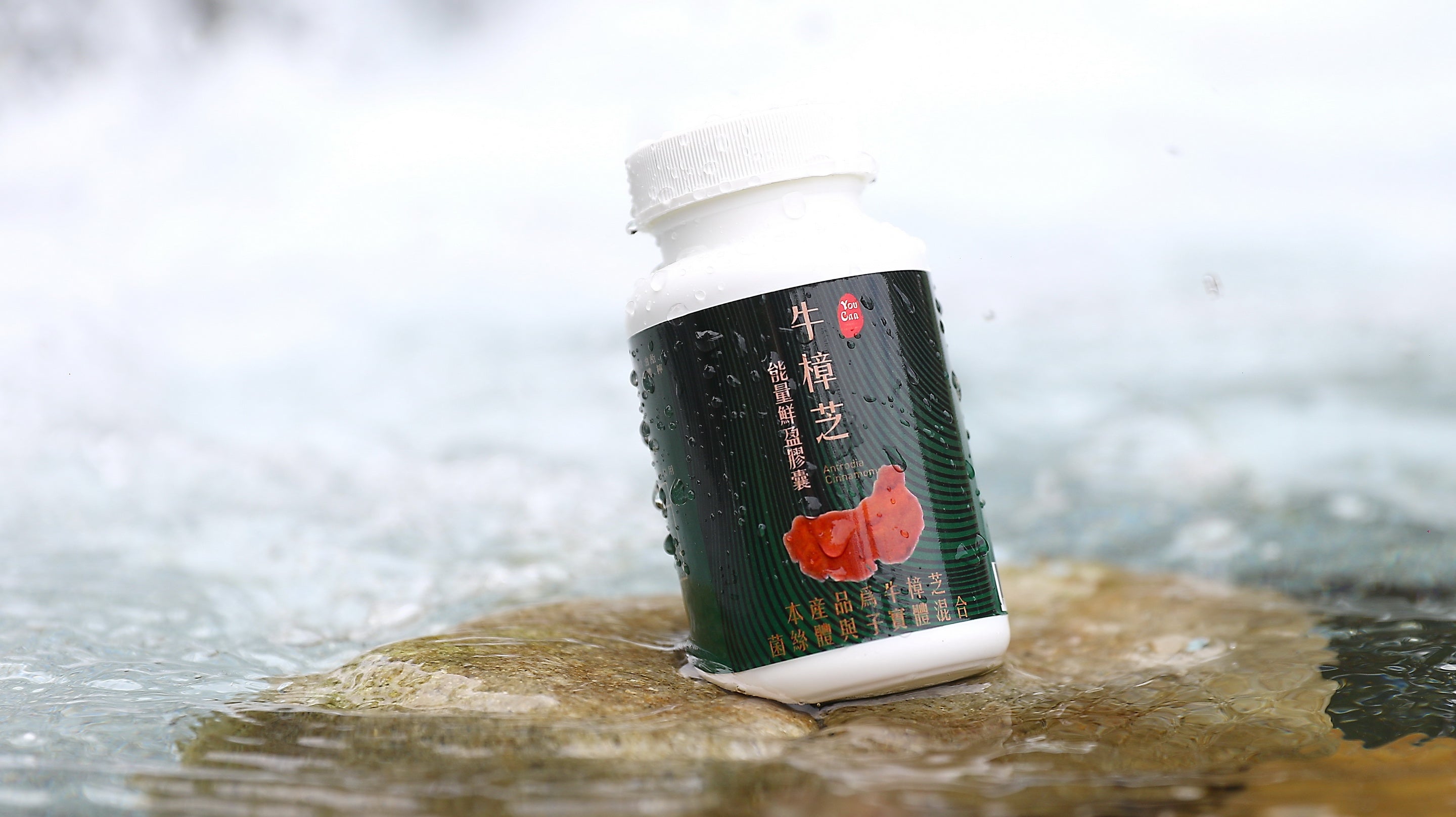 Antrodia Capsules — Daily stamina & liver support.