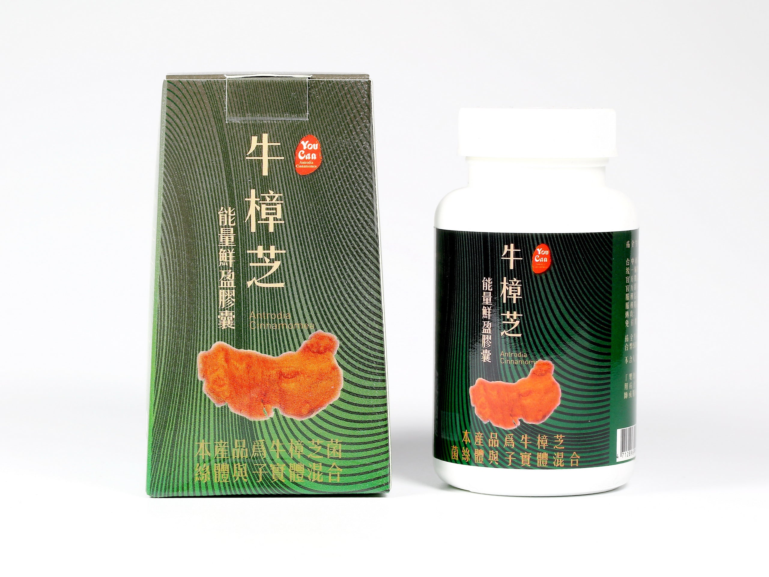 Antrodia Capsules — Daily stamina & liver support.