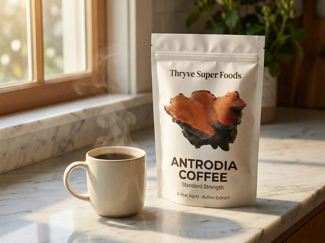 Antrodia Coffee — Standard Strength